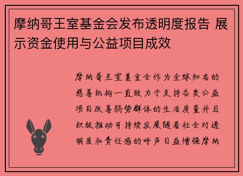摩纳哥王室基金会发布透明度报告 展示资金使用与公益项目成效