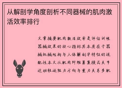 从解剖学角度剖析不同器械的肌肉激活效率排行